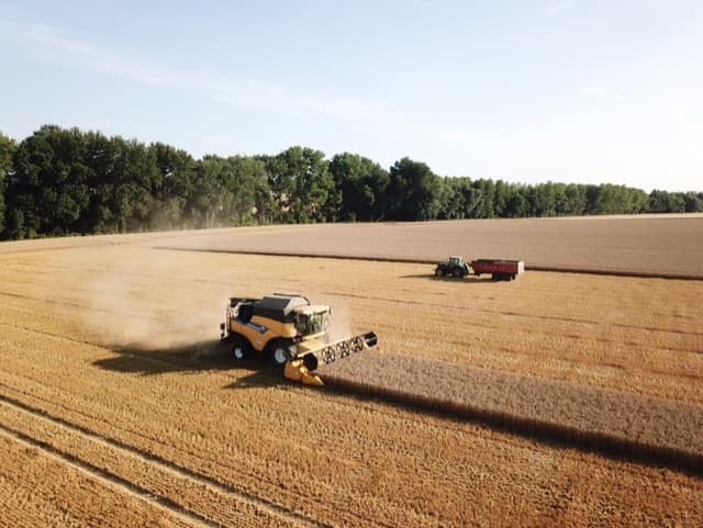 Vue aérienne de la moisson du blé dur des pâtes fermières Joli Grain, Ferme de Canny (Oise)