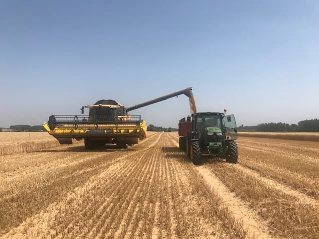 La moisson du blé dur à la Ferme de Canny dans l'Oise